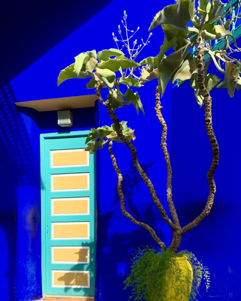 Gelber Tontopf vor kobaltblauer Wand im Jardin Majorelle Marrakesch.