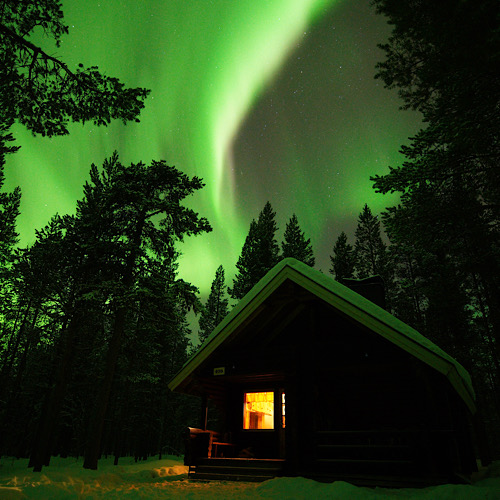 Vibrant green Northern Lights (Aurora Borealis) dancing in the night sky above a lonely, snow-covered wooden cabin in the Lapland wilderness.