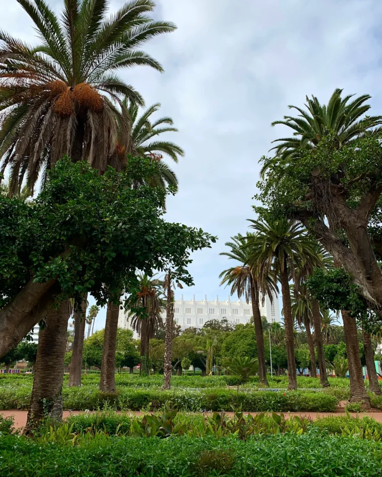 Parc de la Ligue Arabe in Casablanca mit der Herz-Jesu-Kathedrale im Hintergrund.