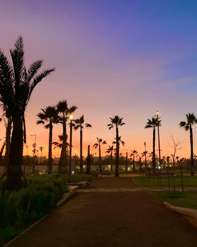 Pink gefärbter Himmel über den Palmen am Boulevard de la Corniche in Casablanca.