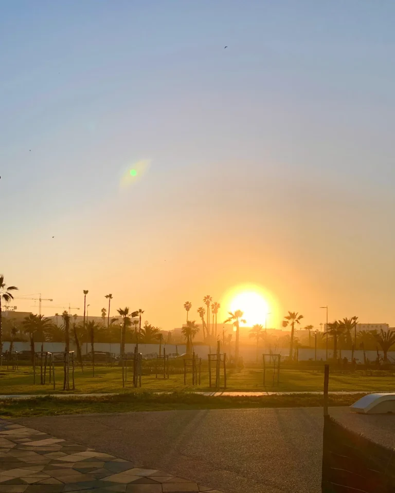 Große rote Sonne geht hinter Palmen am Boulevard de la Corniche in Casablanca unter.