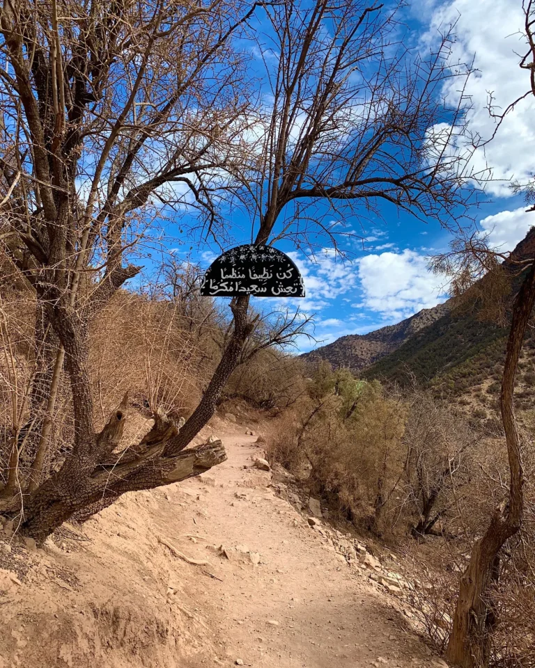 Schild an einem Baum auf dem Wanderweg zum Paradise Valley.