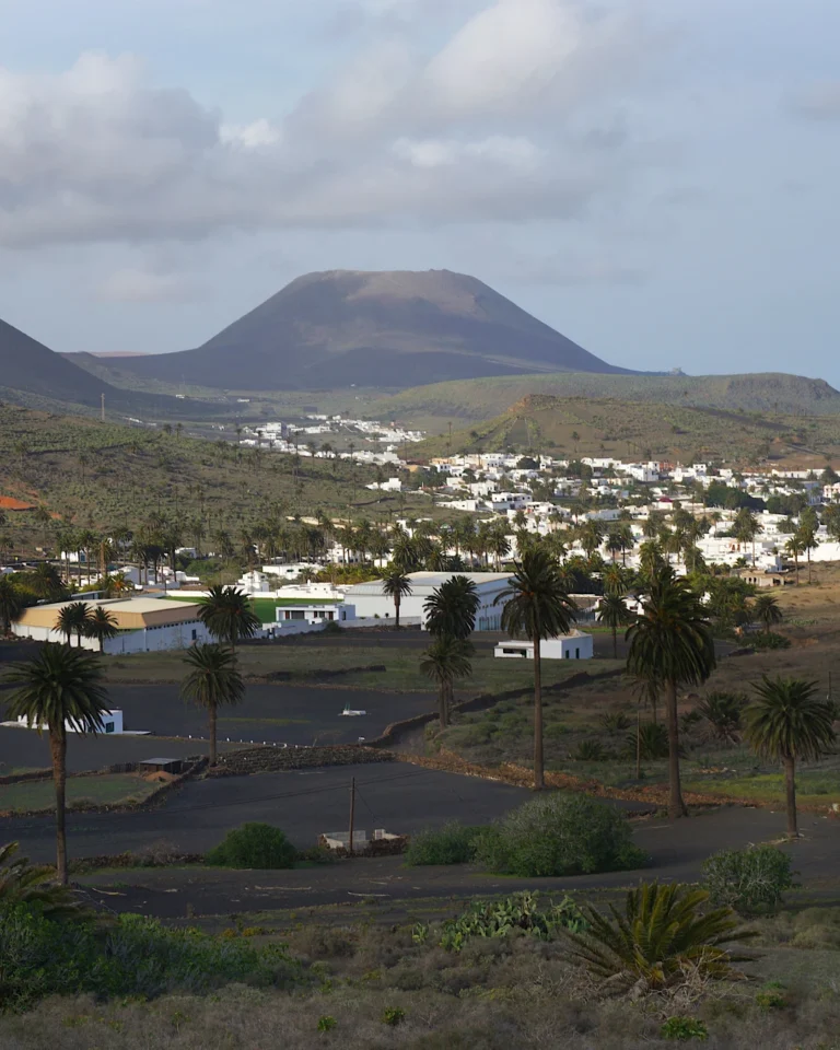 Blick auf das grüne Tal von Haria mit zahlreichen Palmen und weißen Häusern auf Lanzarote.