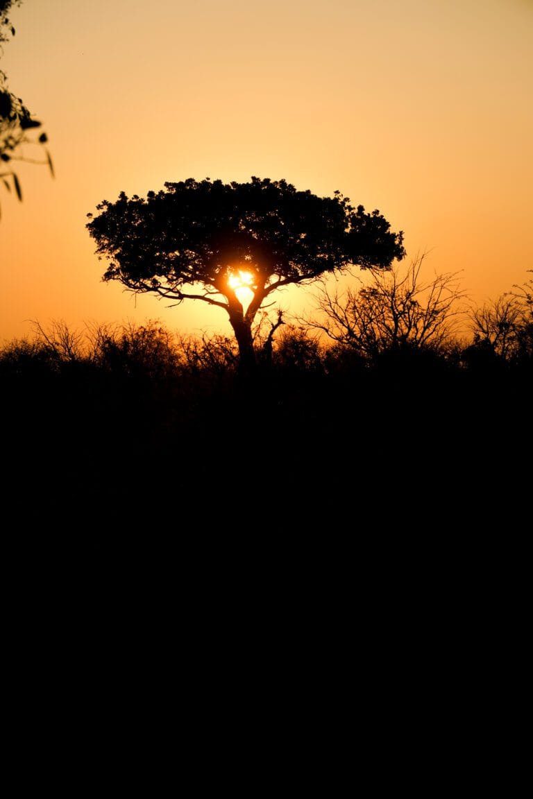 Sunset at Kruger