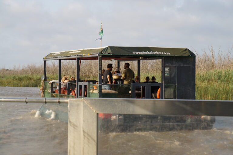 Boat Tour