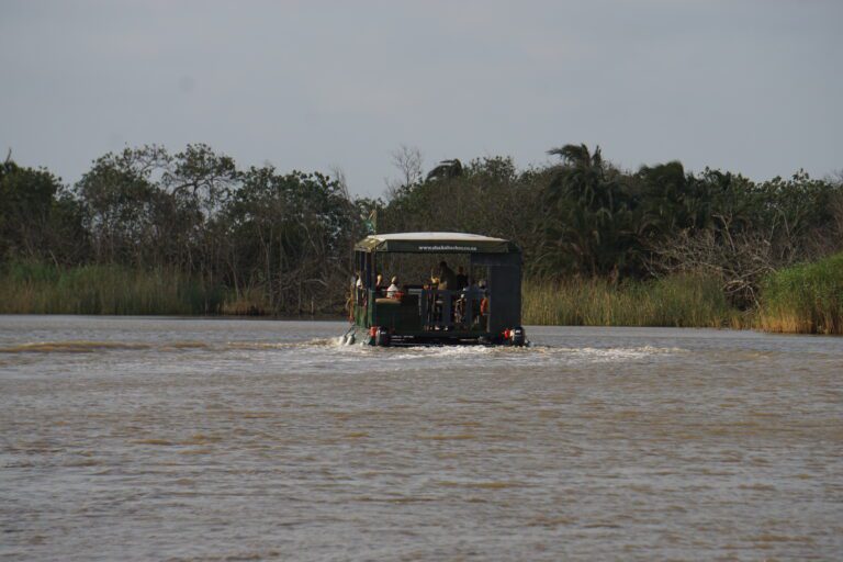 Boat Tour