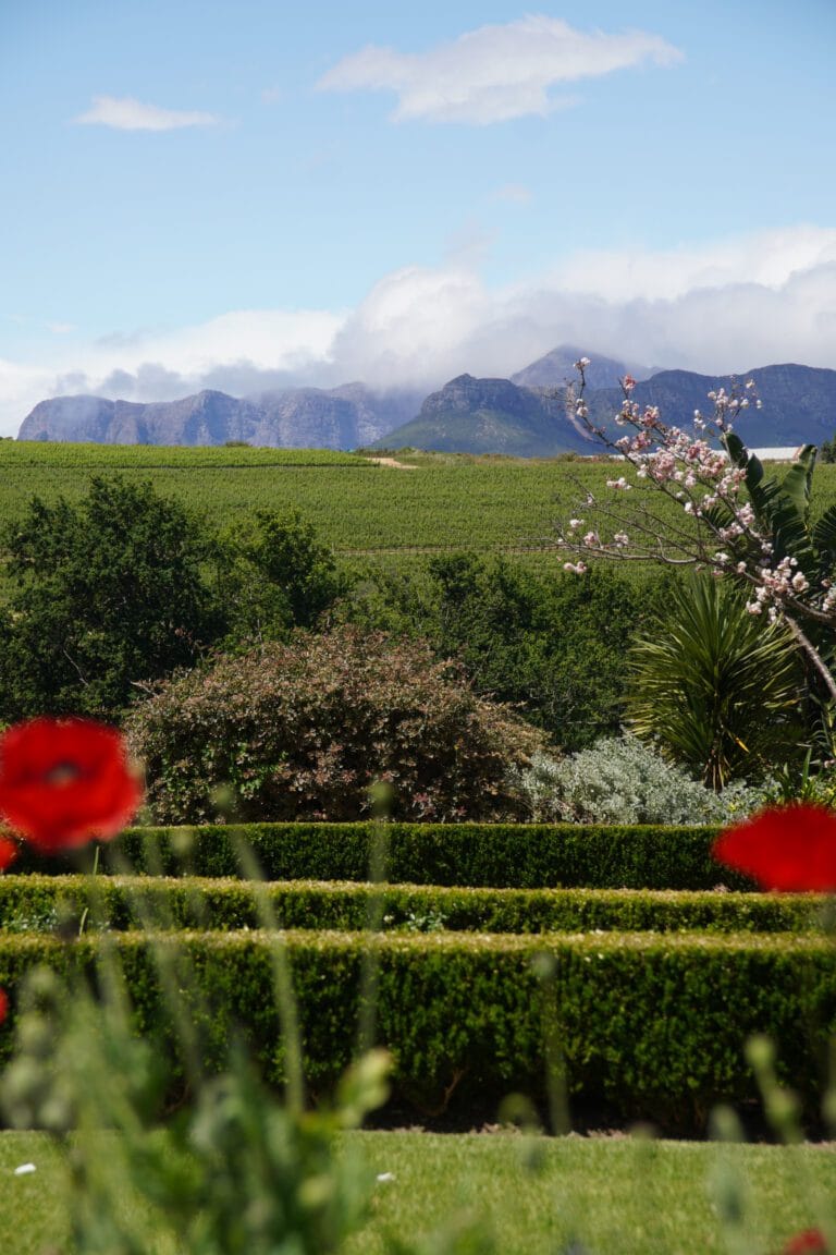 Stellenbosch