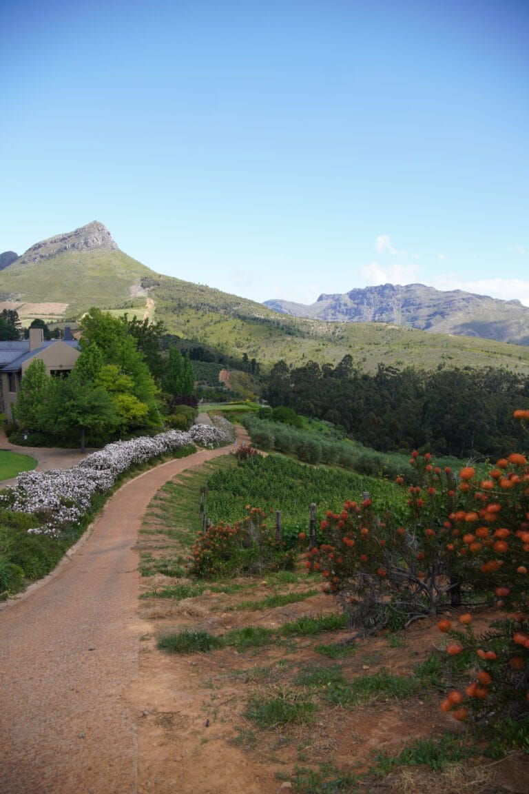 Stellenbosch