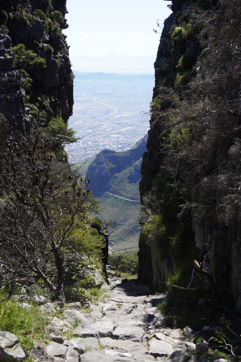 Table Mountain