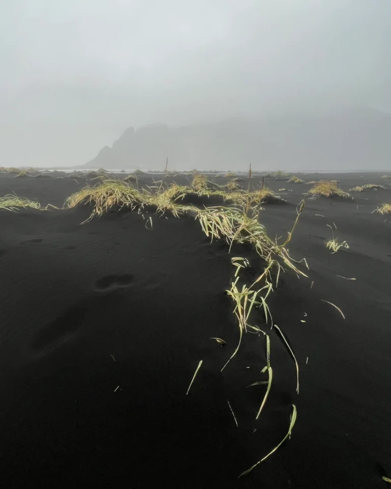 Mystical black sand at Stokksnes, with small green hills emerging from the fog, creating an eerie atmosphere, Iceland