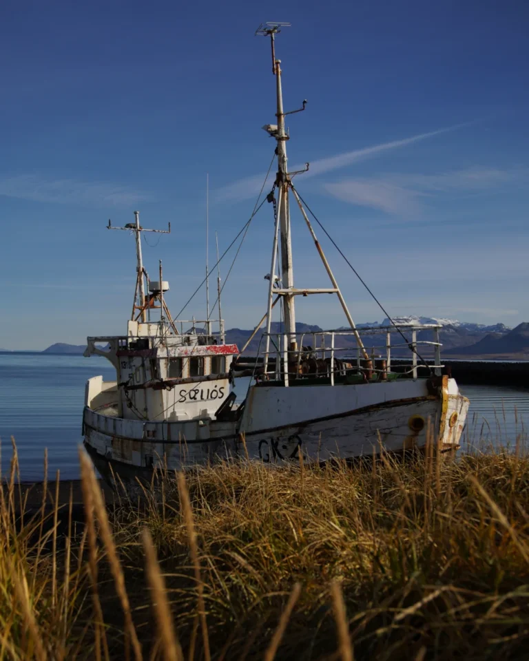 The Sæljós GK 2 shipwreck in Iceland, with vibrant grass framing the foreground