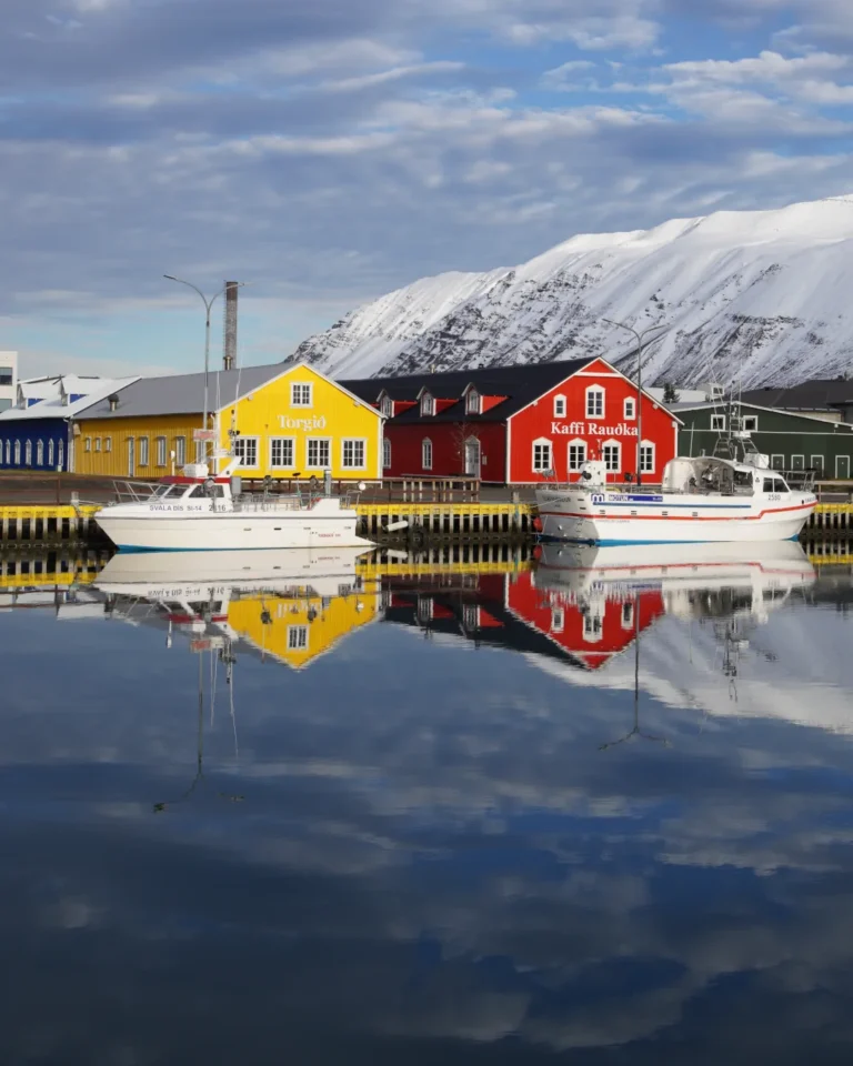 The harbour of Siglufjörður with colorful houses in the background on a snowy winter day