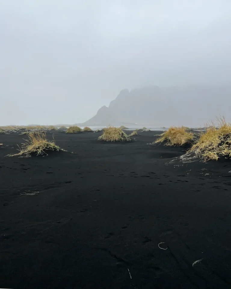 Misty black sand at Stokksnes, with small green hills peeking through the fog, Iceland