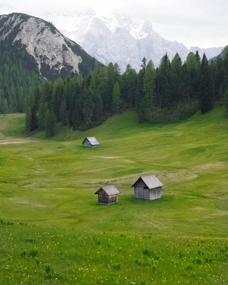 Traditionelle hölzerne Almhütten auf einer saftig grünen Bergwiese in den Dolomiten.
