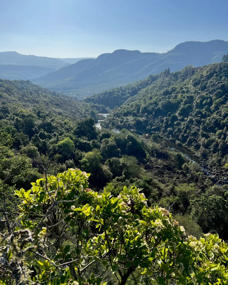 View from above into a green canyon and a wide valley near Graskop.