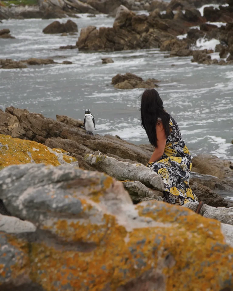Woman sitting on the rocky beach at Bettys Bay watching a small penguin.