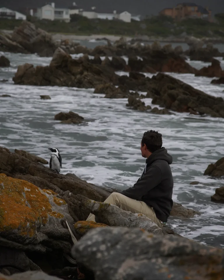 Man sitting on the rocky shore at Bettys Bay looking at the sea and a penguin.
