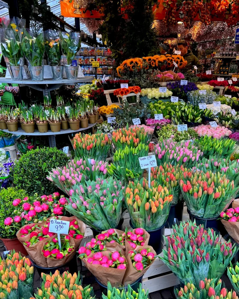 Viele bunte Tulpensträuße auf dem Blumenmarkt in Amsterdam.