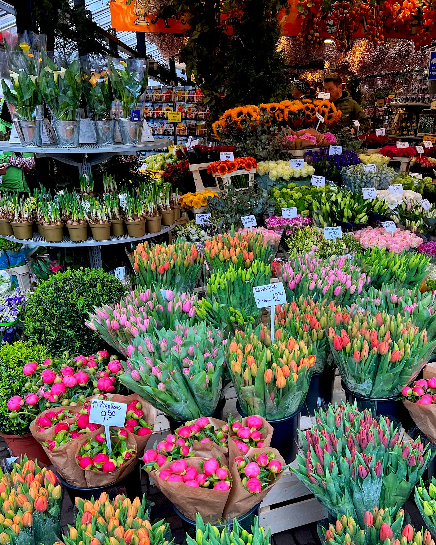 Many colorful bouquets of tulips at the Amsterdam flower market.