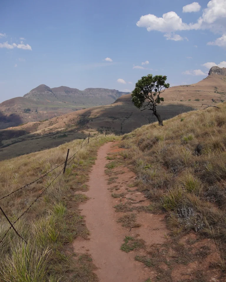 A hiking trail with characteristic red sand leading through the Drakensberg mountains.