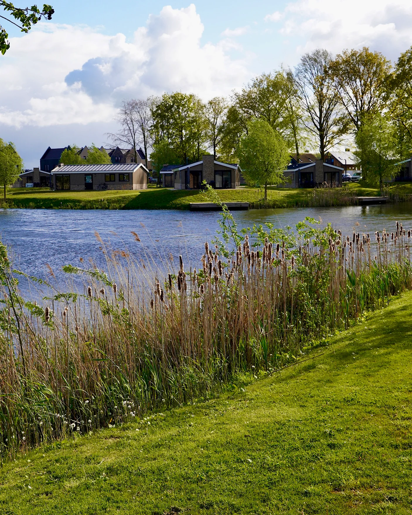 View of the lake at Europarcs Kampen with holiday bungalows in the background.