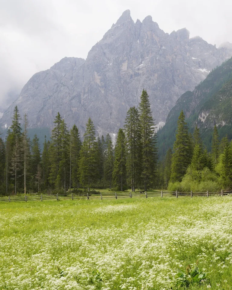 Weite Wiesen und dichte Wälder im Fischleintal bei Sexten mit Blick auf die Sextner Sonnenuhr.
