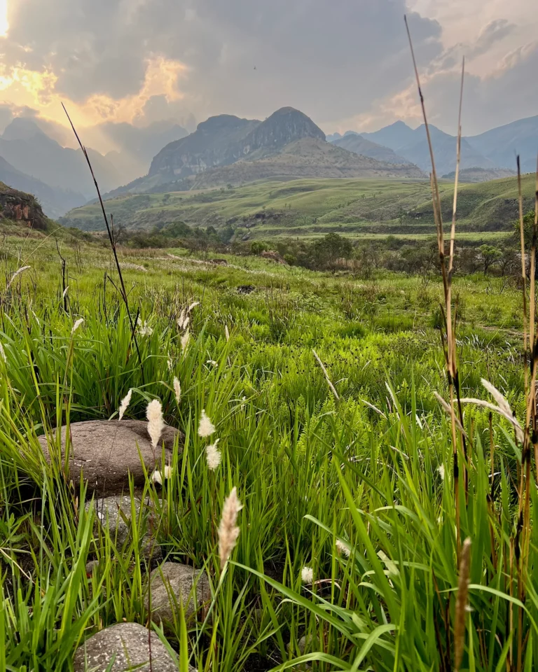 Lush green meadow with the impressive Drakensberg mountains in the background in Royal Natal NP.