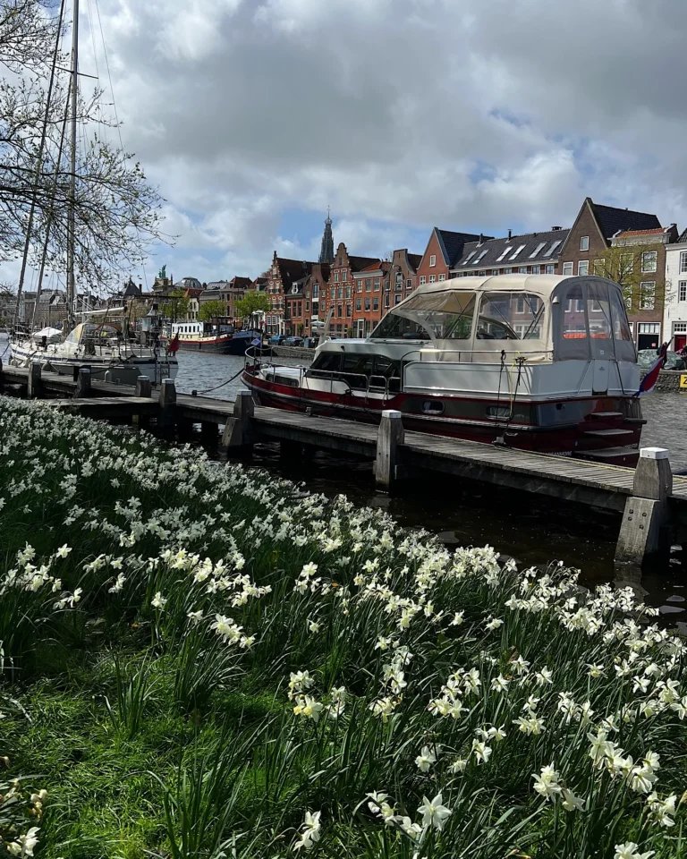 Hafen von Haarlem mit Booten im Hintergrund und weißen Narzissen im Vordergrund.