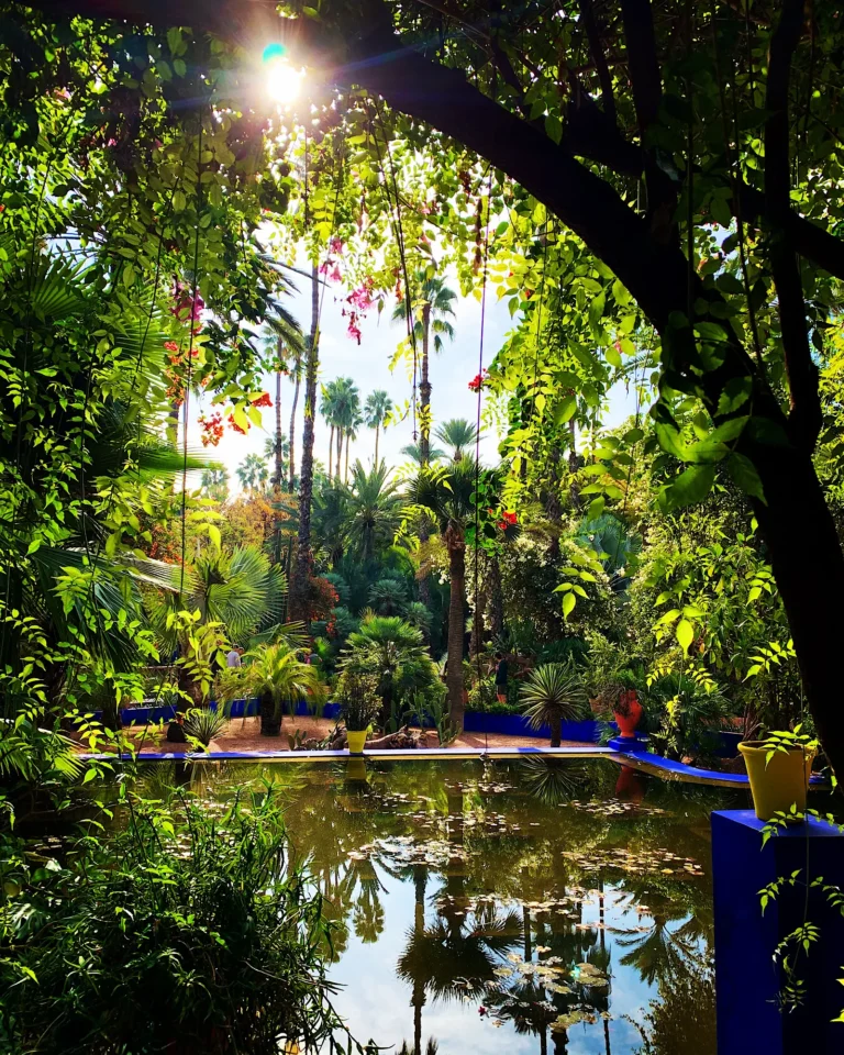 Palm reflections in the large pond at Jardin Majorelle.