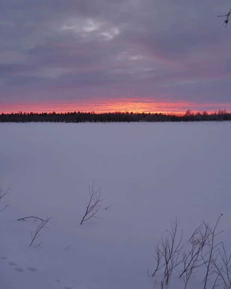 Frozen lake in Lapland with snowy forest at sunset in January.