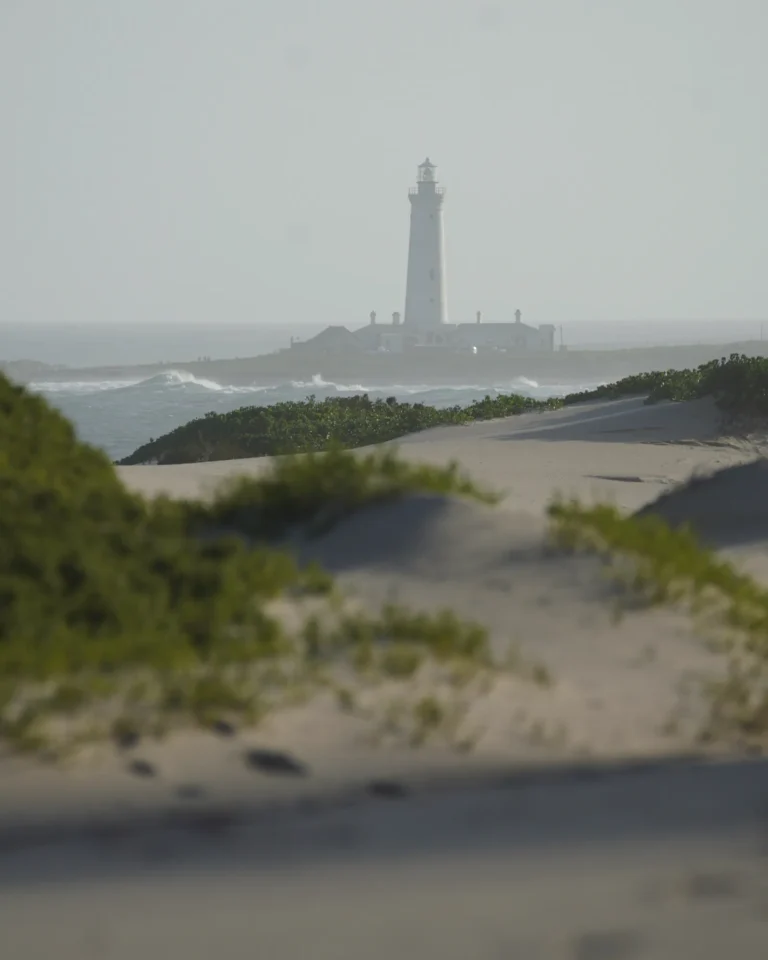 Close-up of the St. Francis Bay lighthouse nestled between coastal dunes.