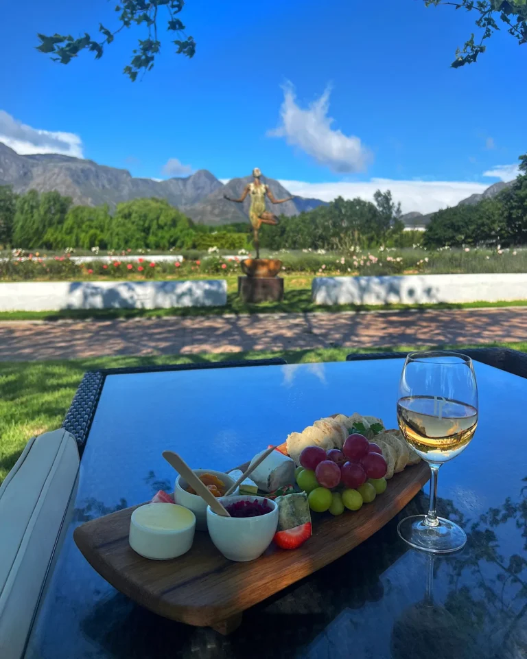 Cheese platter with wine and grapes at Peter Falke winery with mountain panorama.