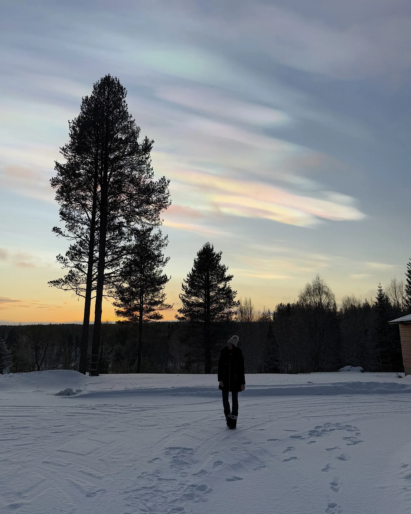 Eine Frau steht in einer verschneiten Winterlandschaft in Lappland, während am Himmel seltene, farbenfroh leuchtende Polare Stratosphärenwolken (Perlmuttwolken) zu sehen sind.