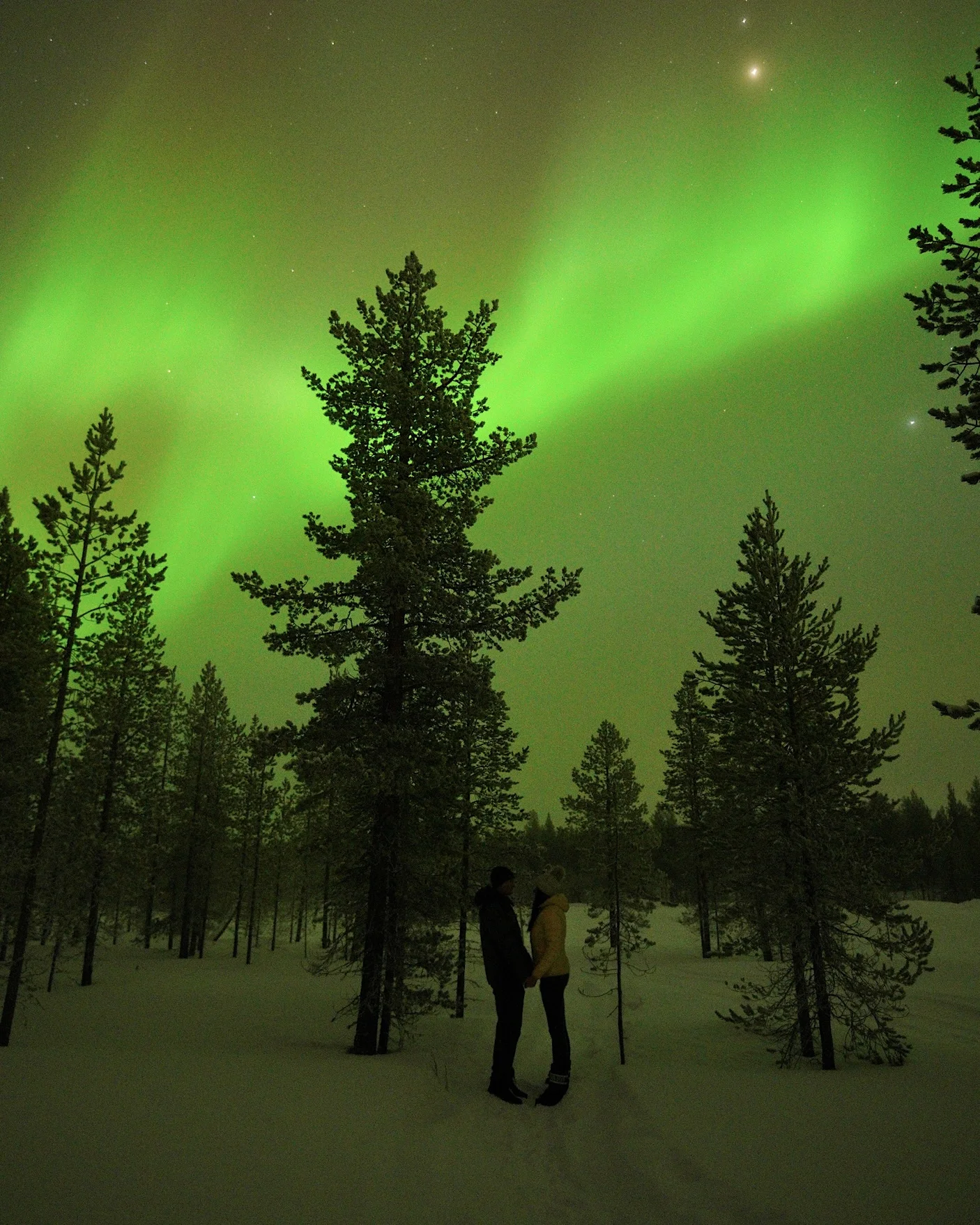 Ein Paar steht im verschneiten Wald von Lappland unter grünen Nordlichtern (Aurora Borealis) und schaut sich tief in die Augen.