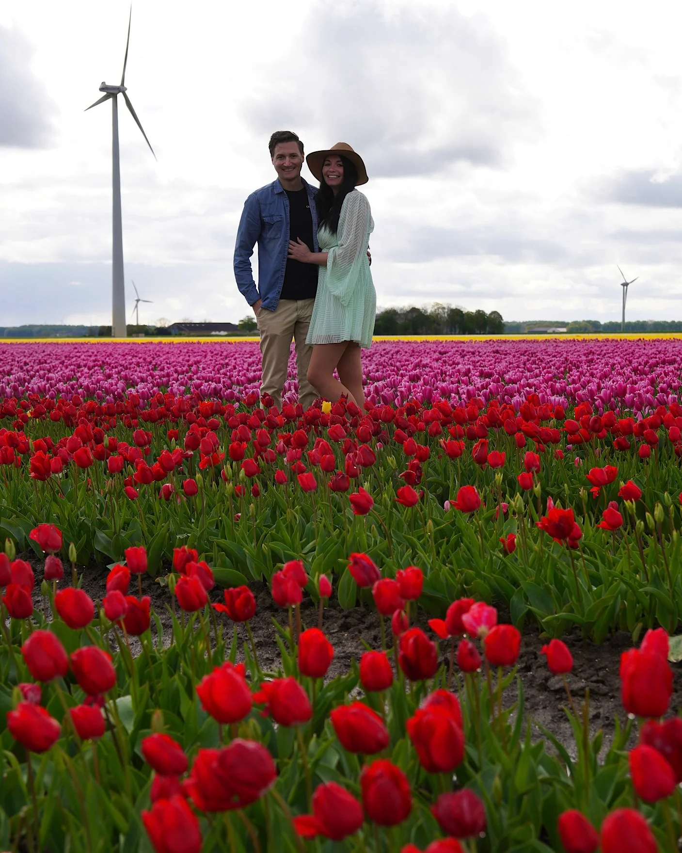 Travel couple standing together in a colorful tulip field with pink and red tulips in Flevoland.