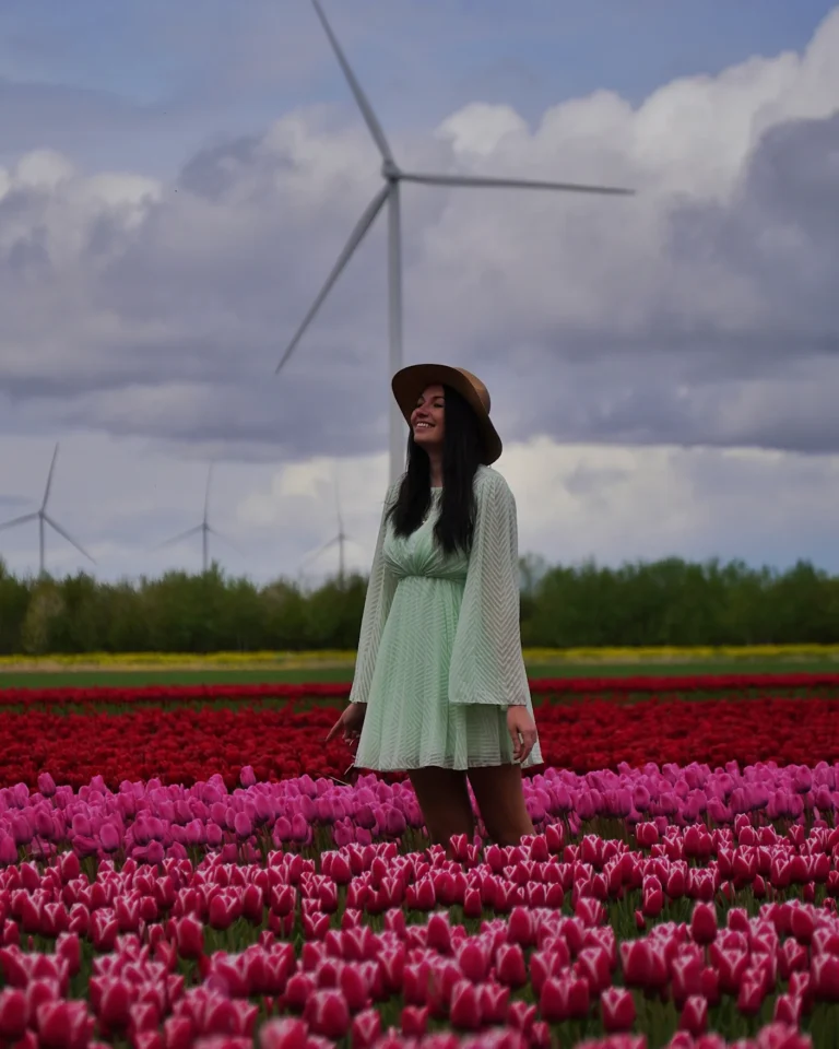 Frau steht seitlich im Tulpenfeld Flevoland zwischen pink-weißen und roten Tulpen und genießt die Sonne.