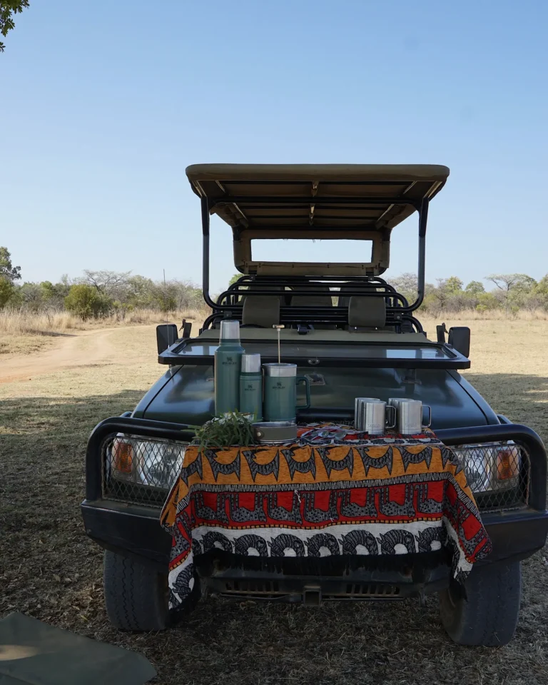 Mabula Game Lodge safari vehicle in the bush with a coffee picnic on the car.
