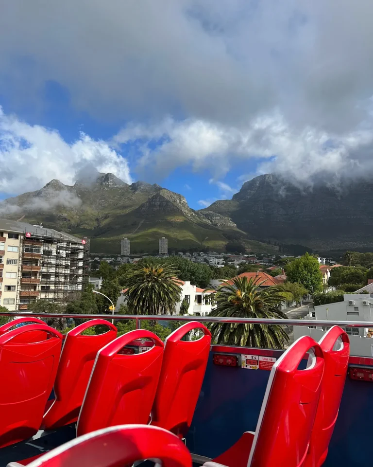 View from the top deck of the red sightseeing bus showing mountains, palms, and houses in Cape Town.