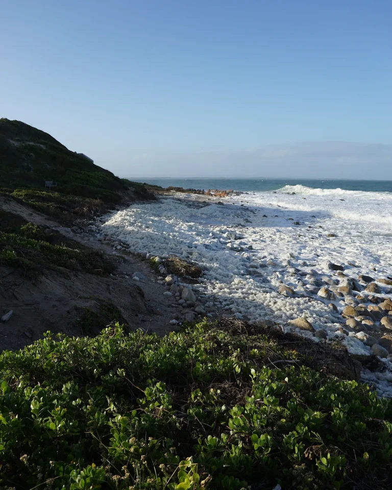 White foaming waves and a bright blue sky at the bay of St. Francis Bay.