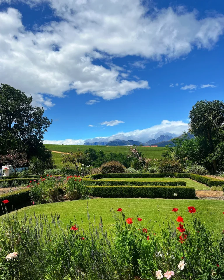 Manicured garden in Stellenbosch with boxwood hedges, poppies, and blue sky.