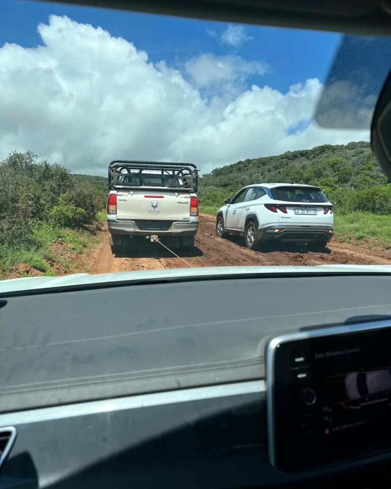 Friendly park rangers pulling a tourist's SUV out of the mud in Addo Elephant Park after heavy rain.