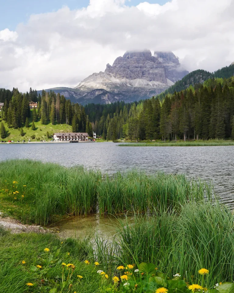 Der Misurinasee in den Dolomiten mit Blick auf die Drei Zinnen im Hintergrund und mit gelben Blumen und grünem Gras im Vordergrund.