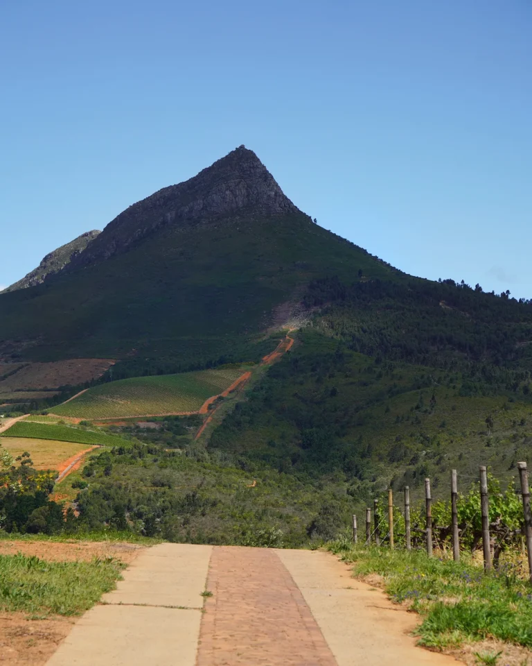 Close-up view of the rugged mountain range seen from Tokara Wine Estate.