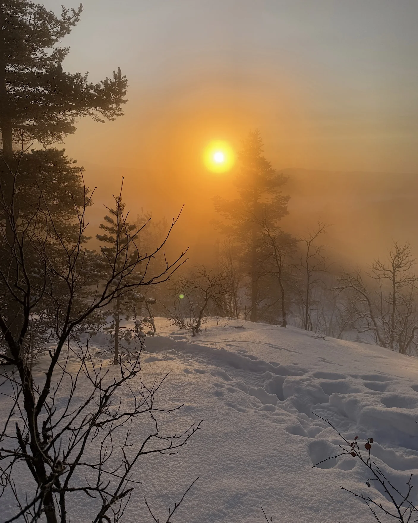 Ein verschneiter Wanderweg führt auf den Gipfel des Berges Jyppyrä in Lappland, während die tiefstehende Wintersonne alles in goldenes Licht taucht.