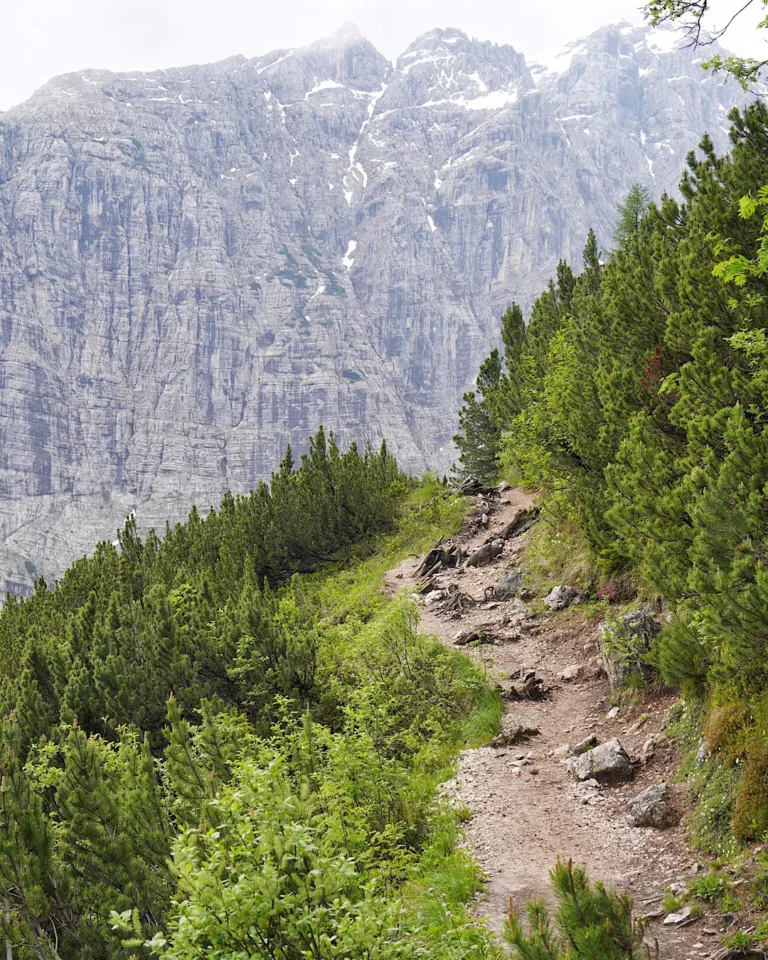 A narrow hiking path leading through the mountain landscape towards Lake Sorapis.