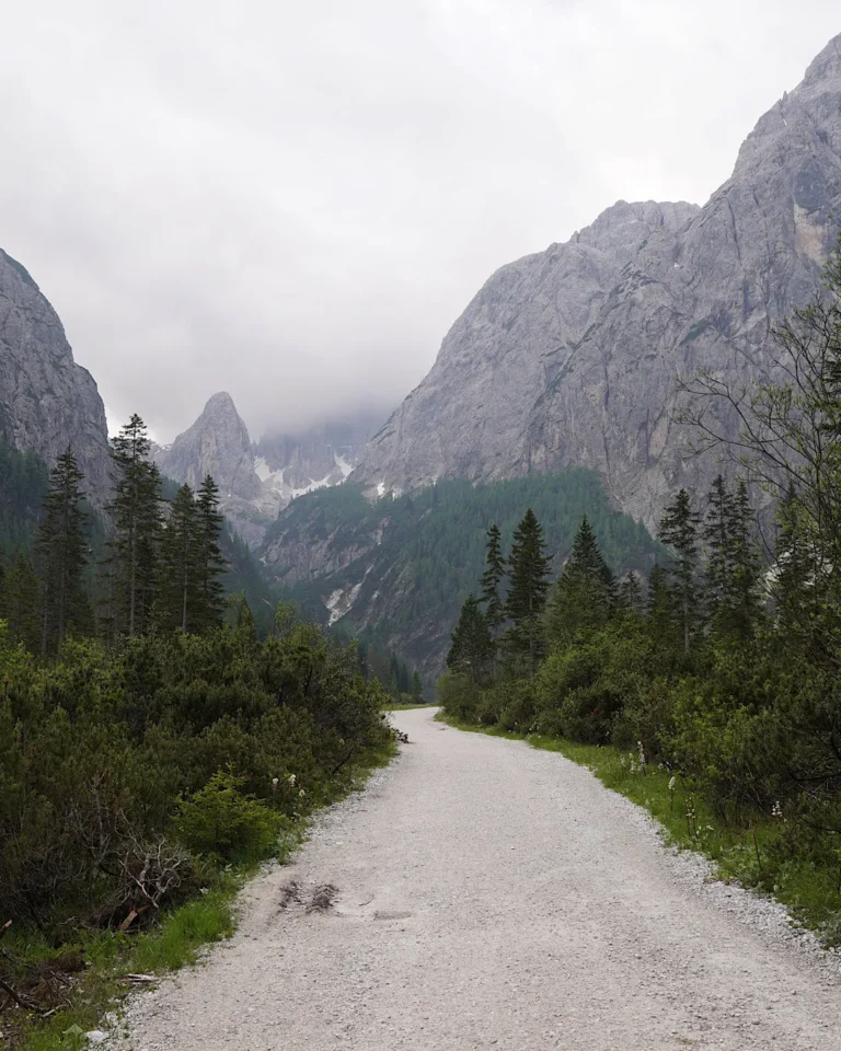 Ein breiter Schotterweg führt durch ein grünes Tal (Fischleintal) auf hohe, wolkenverhangene Berge in den Alpen zu.
