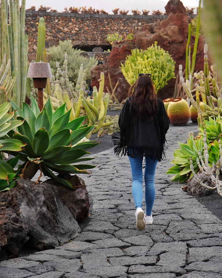 Various types of cacti in the Jardín de Cactus in Guatiza, Lanzarote.