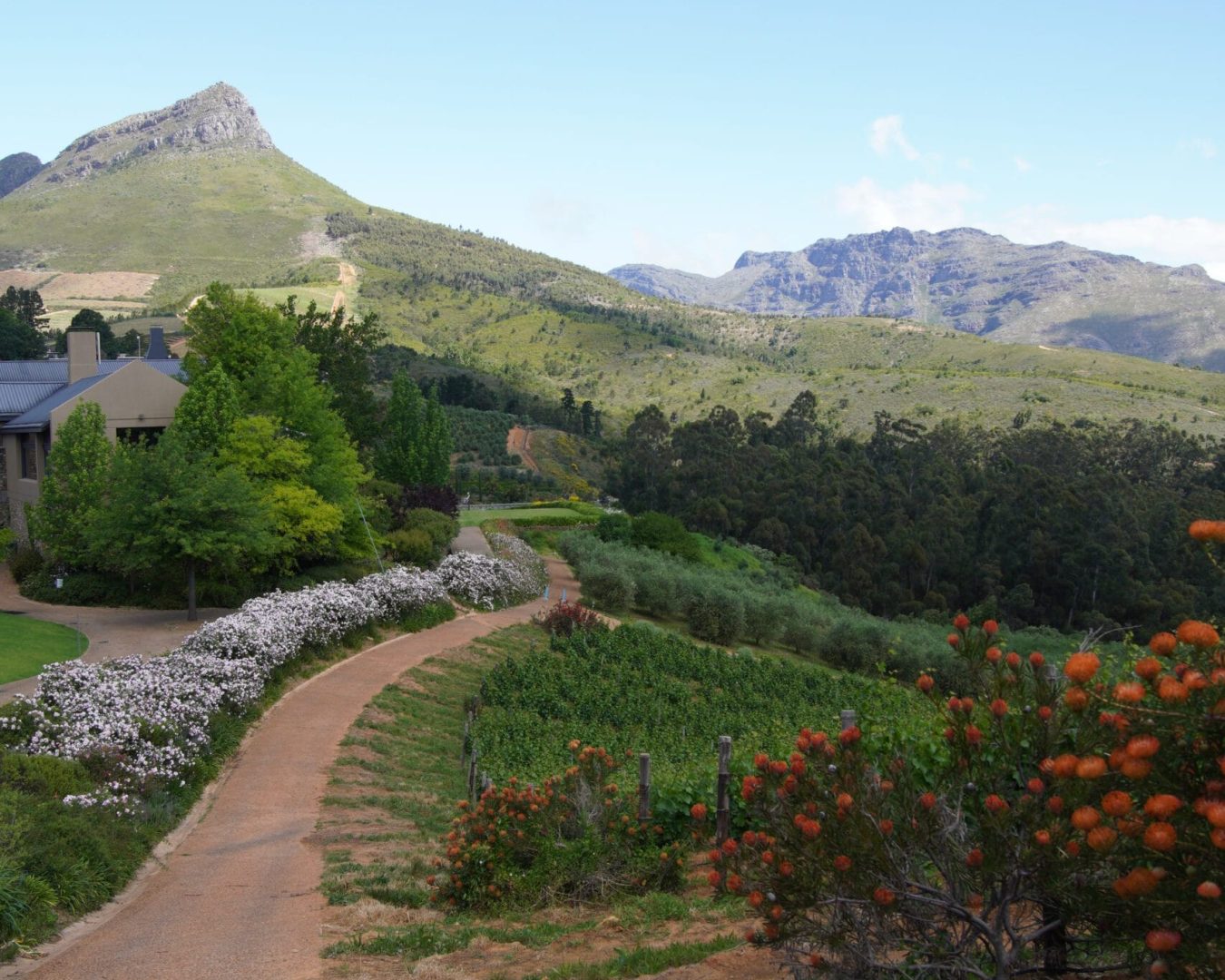 Stellenbosch